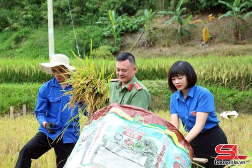 ĐVTN hỗ trợ người dân tuốt lúa.