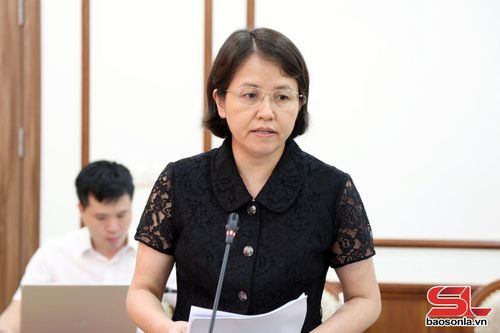 Đồng chí Dương Tú Anh phát biểu tại hội nghị. 