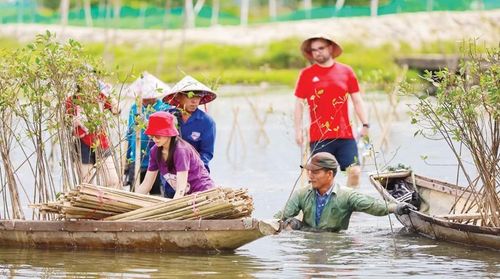800 cây bần chua được trồng, chăm sóc ở Khu bảo vệ nguồn lợi thủy sản Đình Đôi - Cửa Cạn. Ảnh: Tiến Vinh
