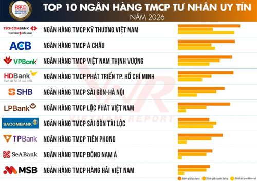 Nguồn: Vietnam Report, tháng 06/2026