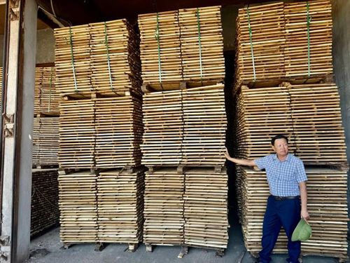 Nhờ tổ chức chế biến sâu, gỗ rừng trồng ở Quảng Trị ngày càng có giá trị kinh tế cao.