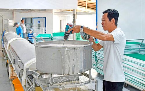 Công ty TNHH Kiên Cường tập trung nguồn lực đầu tư trang thiết bị, xây dựng thêm nhà xưởng nhằm mở rộng sản xuất, tạo thêm việc làm cho người dân địa phương, đồng thời chung tay cùng tỉnh nhà hướng tới mục tiêu tăng trưởng GRDP trên 10%.