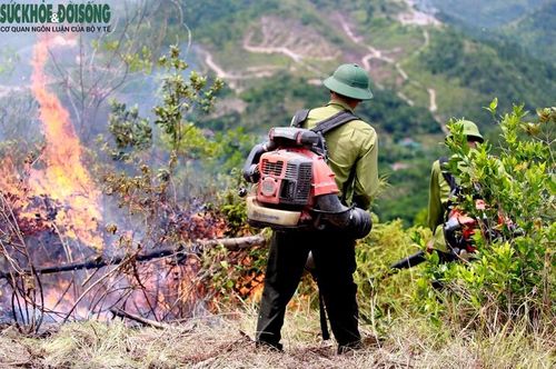 Lực lượng kiểm lâm sử dụng máy thổi gió chuyên dụng dập lửa tại khu vực sườn núi.