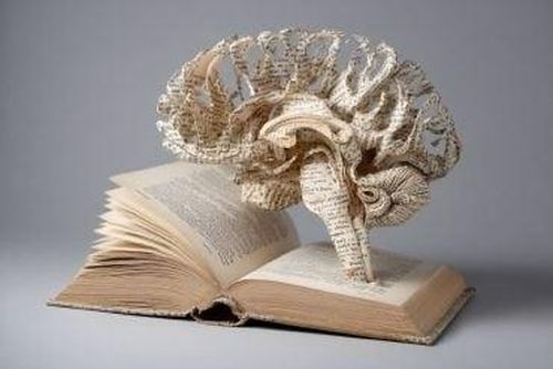 Bộ não thẩm thấu câu chuyện từ sách giấy nhanh hơn khi đọc trên thiết bị số. Ảnh: Neuroscience News.