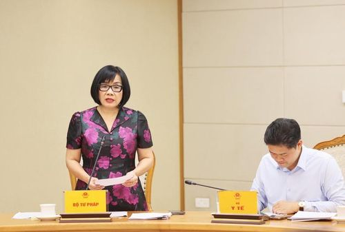 Thứ trưởng Bộ Tư pháp Đặng Hoàng Oanh phát biểu - Ảnh: VGP/Thu Sa