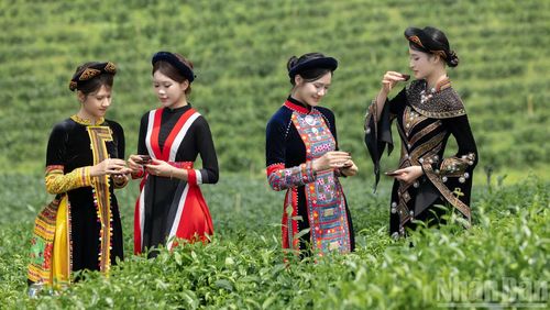 Sự kiện góp phần quảng bá văn hóa trà, tôn vinh những giá trị truyền thống gắn bó với đời sống người dân địa phương qua nhiều thế hệ.