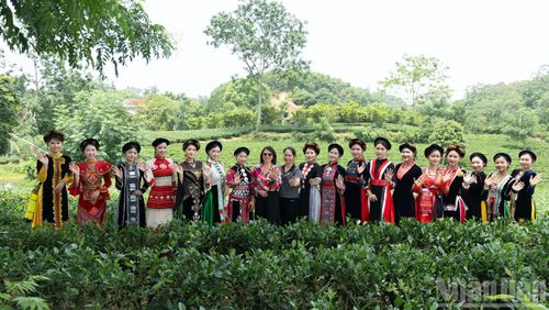 Đồi chè Vô Tranh rộn ràng trong ngày hội văn hóa trà.