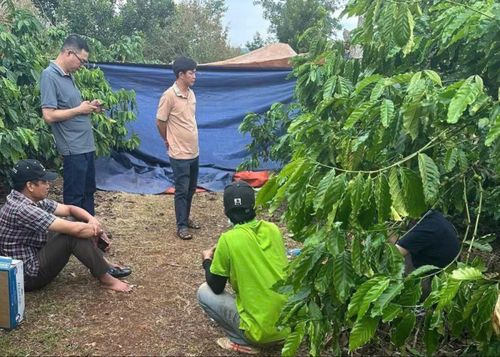 Hiện trường phát hiện thi thể bà Y.