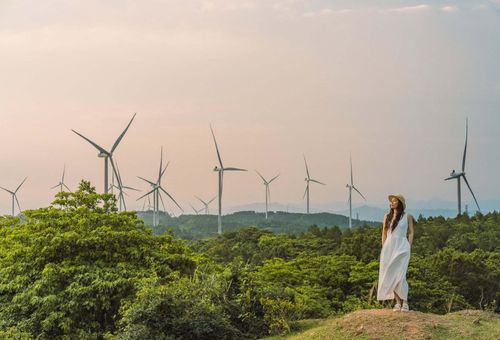Sớm bình minh mát lạnh trên đỉnh Cu Vơ