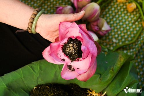 Trà sen Tây Hồ là đặc sản nổi tiếng. Ảnh: Thạch Thảo
