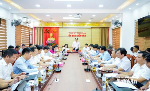 Tổ 3 do đồng chí Nguyễn Thị Hồng Hoa - Chủ nhiệm Ủy ban Kiểm tra Tỉnh ủy điều hành thảo luận. Ảnh: Phạm Bằng