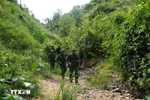 Cán bộ, chiến sỹ Đồn Biên phòng Đắc Pring tuần tra qua các địa hình hiểm trở, quyết tâm bảo vệ từng tấc đất thiêng liêng của Tổ quốc. (Ảnh: Anh Dũng/TTXVN)
