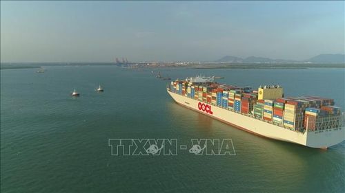 Hệ thống cảng nước sâu Cái Mép - Thị Vải (TP Hồ Chí Minh). Ảnh: Hoàng Nhị/TTXVN