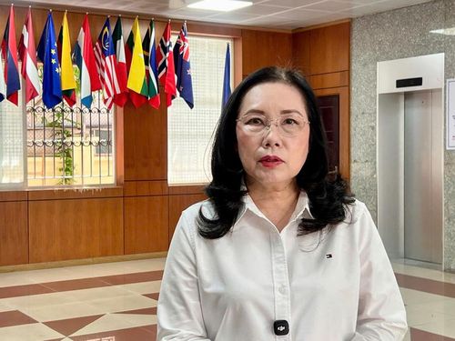 Bà Đỗ Thị Thúy Hương - Phó Chủ tịch thường trực kiêm Tổng Thư ký Hiệp hội Doanh nghiệp Điện tử Việt Nam. Ảnh: Thanh Thảo