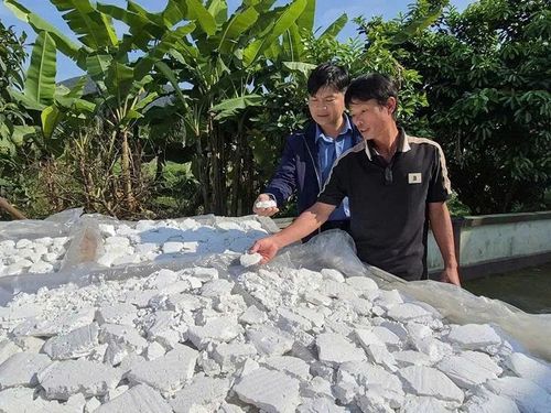 Anh Hoàng Văn Tuấn cùng người dân bên mô hình sắn dây.