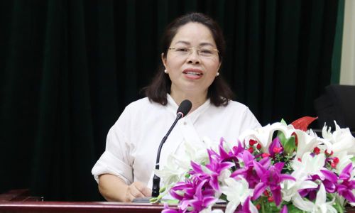  Đồng chí Hoàng Thị Ninh, Chủ tịch UBND xã Dương Hưu đề xuất một số giải pháp phát triển hạ tầng giao thông kết nối. 