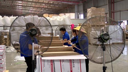 Các công ty tăng cường đầu tư hệ thống làm mát, cải thiện điều kiện làm việc cho người lao động.