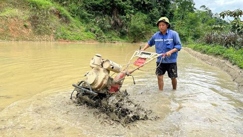 Máy móc được đưa xuống ruộng, góp phần giảm sức lao động cho nông dân.
