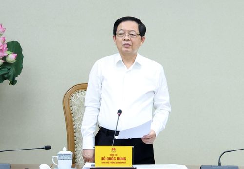  Phó Thủ tướng Hồ Quốc Dũng phát biểu chỉ đạo tại cuộc họp. Nguồn: VGP. 