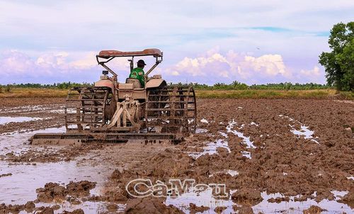 Nông dân tranh thủ thời tiết thuận lợi, khẩn trương làm đất để xuống giống vụ lúa hè thu năm 2026 đảm bảo theo khung lịch thời vụ.