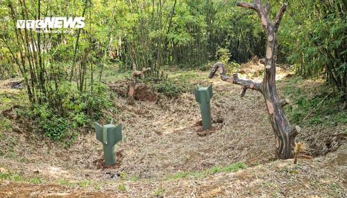 Trong những năm tháng chiến tranh khốc liệt đó, giữa mưa bom, bão đạn và chằng chịt hố bom trên mặt đất thì mầm sống vẫn sinh sôi dưới hàng chục mét âm lòng đất khi 17 cháu bé ra đời ở dưới làng hầm địa đạo Vịnh Mốc. 