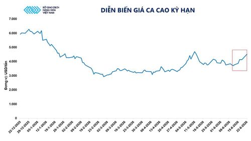 Diễn biến giá ca cao kỳ hạn. Nguồn: MXV