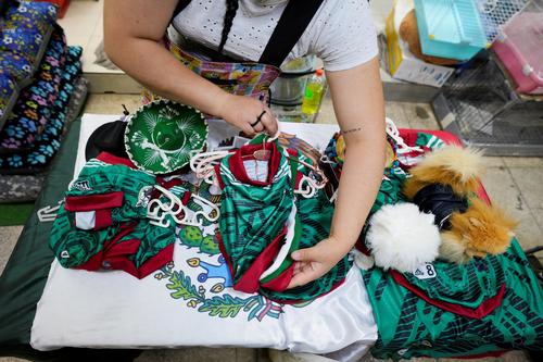 Một người bán hàng giới thiệu áo đấu đội tuyển bóng đá quốc gia Mexico dành cho thú cưng tại một cửa hàng ở Mexico City. 