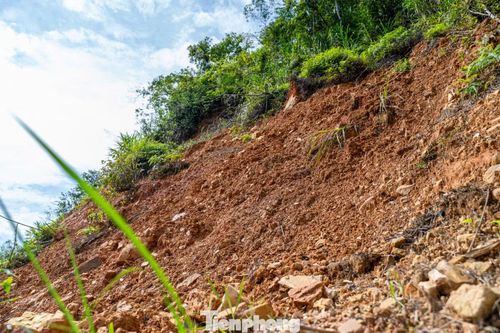 Ngày 24/6, PV báo Tiền Phong trên đường di chuyển vào hiện trường lở tại xã Tân Tiến đã phát hiện thêm nhiều điểm sạt lở khác trên quốc lộ 4A và 3B dẫn vào trung tâm xã.