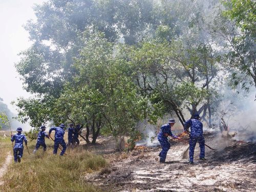 Cán bộ, chiến sĩ Hải đội 202 (Vùng Cảnh sát biển 2) phối hợp với lực lượng chức năng và người dân địa phương triển khai các biện pháp khoanh vùng, dập tắt đám cháy.
