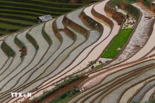 Ruộng bậc thang nước đổ ở vùng cao Mù Cang Chải (Lào Cai). (Ảnh: Tuấn Anh/TTXVN)