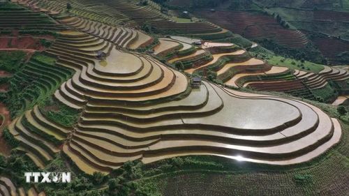 Sắc nâu của đất hòa cùng màu xanh của núi rừng và ánh bạc của dòng nước tạo nên khung cảnh kỳ vĩ, thơ mộng giữa núi rừng Tây Bắc. (Ảnh: Tuấn Anh/TTXVN)