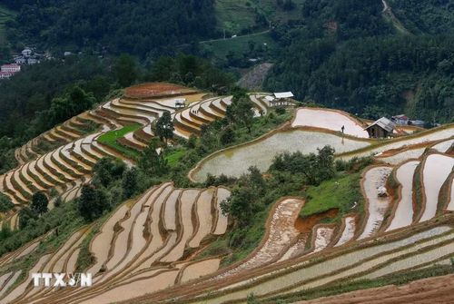 Ruộng bậc thang nước đổ ở vùng cao Mù Cang Chải (Lào Cai). (Ảnh: Tuấn Anh/TTXVN)