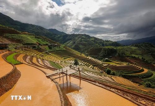 Những thửa ruộng bậc thang mùa nước đổ mang vẻ đẹp đặc trưng của những dải lụa vắt ngang lưng trời. (Ảnh: Tuấn Anh/TTXVN)