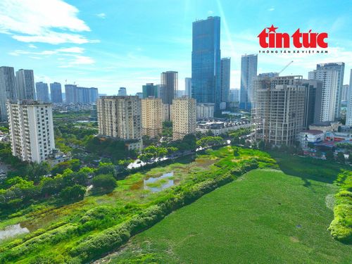 Bên trong dự án công viên, cỏ dại mọc cao hơn đầu người, nhiều vũng lầy, là nơi sinh sống của chuột bọ, muỗi...