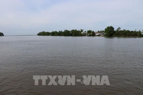 Một góc cồn Tân Quy nhìn từ phía đất liền xã An Phú Tân. Ảnh: Thanh Hòa - TTXVN
