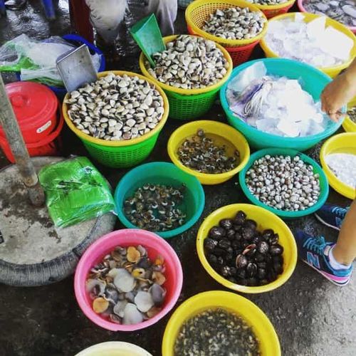 Hải sản tươi ngon ở bãi biển Tân Thành.