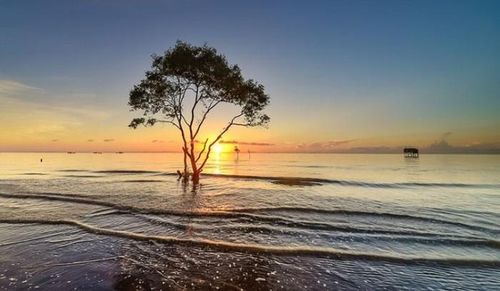 Khung cảnh lãng mạn ở bãi biển Tân Thành.