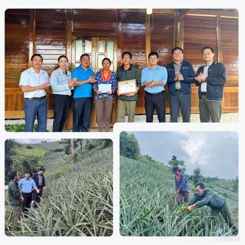 Nhờ chịu khó làm ăn, cuộc sống của gia đình anh Chớ A Sình, bản Sa Lông, xã Na Sang đã khá hơn nhiều. Năm 2025, anh Sình đã tự nguyện viết đơn xin thoát nghèo.