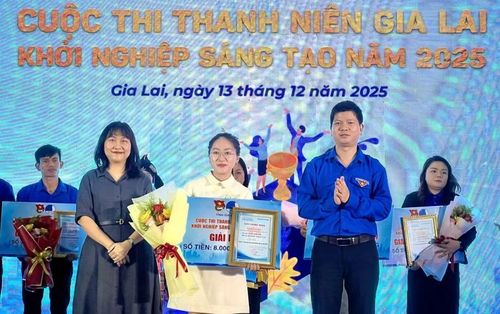  Tỉnh đoàn tổ chức Cuộc thi Thanh niên Gia Lai khởi nghiệp sáng tạo năm 2025. Ảnh: M.N 