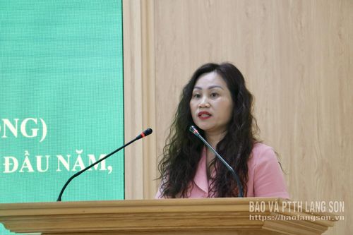 Phó Chủ tịch HND tỉnh báo cáo tóm tắt kết quả công tác hội, phong trào nông dân 6 tháng đầu năm, phương hướng, nhiệm vụ 6 tháng cuối năm