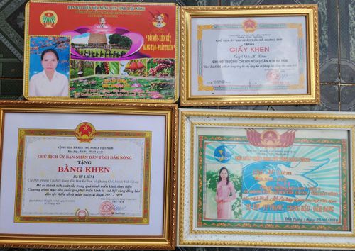 Sự nỗ lực của bản thân và tinh thần, trách nhiệm giúp đỡ cộng đồng, chị H’Liêm được các cấp chính quyền, tổ chức hội tặng nhiều danh hiệu thi đua, phần thưởng cao quý
