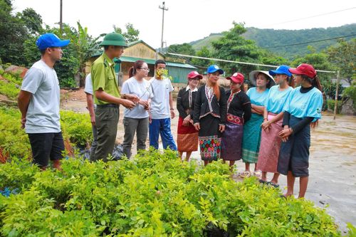 Đồng bào Vân Kiều ở thôn Hồ, xã Hướng Phùngtiếp nhận giống cây bản địa do Trung tâm Bảo tồn thiên nhiên và phát triển hỗ trợ - Ảnh: P.T.L