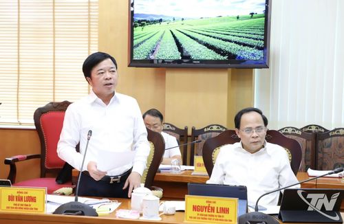 Đồng chí Bùi Văn Lương, Phó Bí thư Tỉnh ủy, Chủ tịch HĐND tỉnh phát biểu tại Hội nghị.