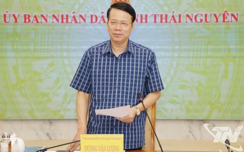 Đồng chí Dương Văn Lượng, Phó Chủ tịch UBND tỉnh kết luận cuộc họp.