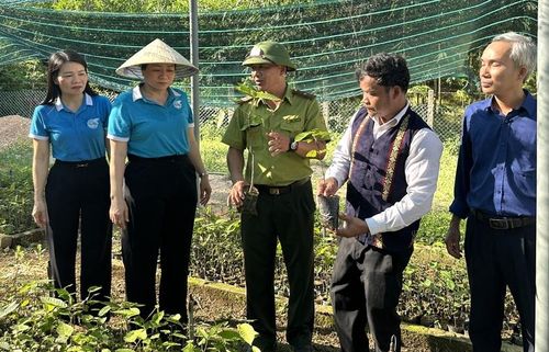  Tham quan các mô hình hỗ trợ sinh kế cho đồng bào