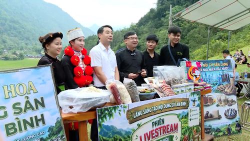 Phiên livestream bán hàng nông sản tại Làng sáng tạo nội dung số, xã Lâm Bình.