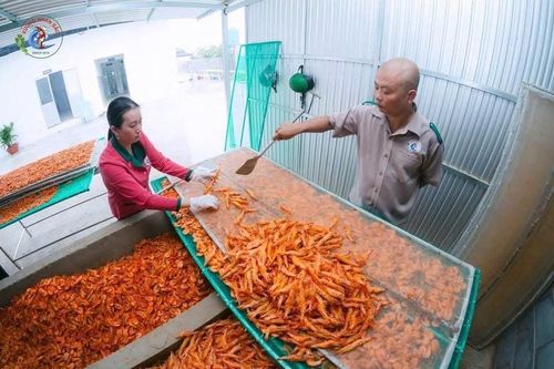 Lực lượng chức năng tỉnh Cà Mau quyết liệt làm rõ thông tin để bảo vệ ngành hàng truyền thống của tỉnh