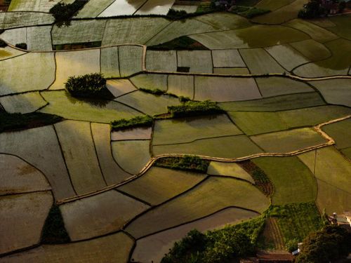 Từng thửa ruộng như những tấm vải thổ cẩm, đặc trưng của văn hóa dân tộc Cao Bằng.