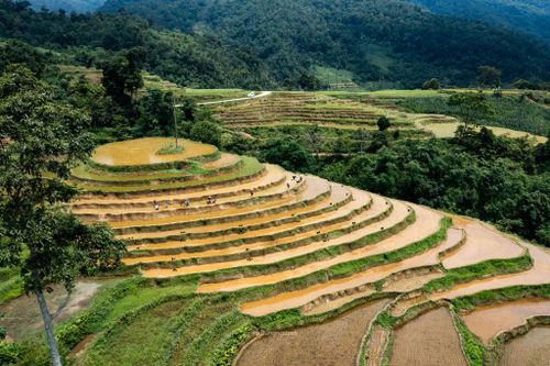 Không khí lao động rộn ràng hiện rõ trên những cánh đồng khi bà con tranh thủ thời tiết thuận lợi để bắt đầu vụ sản xuất.