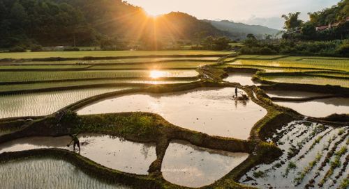 Đồng bào cần mẫn cày bừa, làm đất trên những thửa ruộng ngập nước, chuẩn bị cho công đoạn cấy lúa.